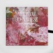 画像3: Merzbow/John Wiese "Akashaplexia" [4CD Box]