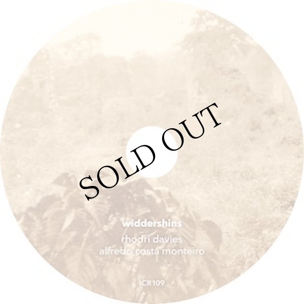 画像2: Rhodri Davies & Alfredo Costa Monteiro "Widdershins" [CD]