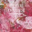 画像2: Merzbow/John Wiese "Akashaplexia" [4CD Box]
