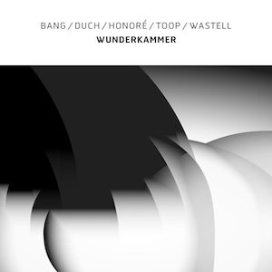 画像: Bang / Duch / Honoré / Toop / Wastell "Wunderkammer" [White LP]