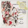 画像1: V.A "Complete Point-Radiant Recordings +" [2CD-R]