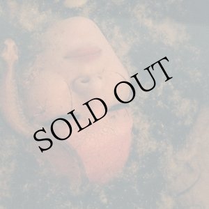 画像: ju sei "申 (Mousu)" [transparent LP]