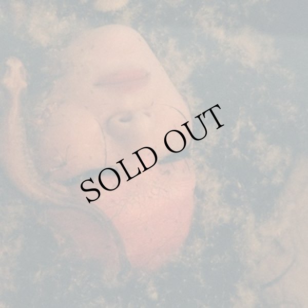 画像1: ju sei "申 (Mousu)" [transparent LP]