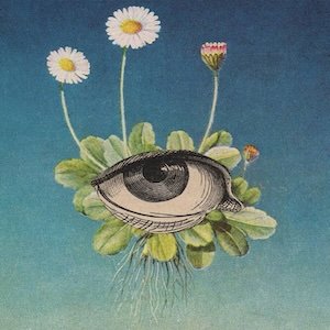 画像: ojeRum "The Limited Circle Is Pure" [CD]