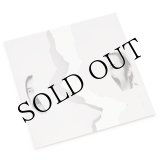 画像: Gil J. Wolman "Megapneumes" [LP]