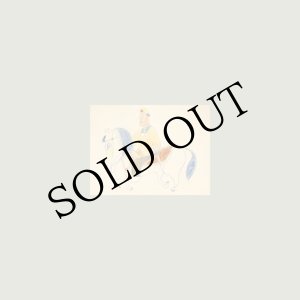 画像: Ezio Piermattei "Gran Trotto" [Clear LP]