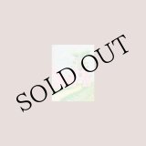 画像: Acchiappashpirt "Ninulla" [Clear LP]