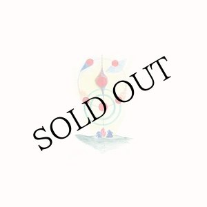 画像: La Festa delle Rane "Il lago e il cielo del bosco e tutte le rane cantano in coro" [LP]