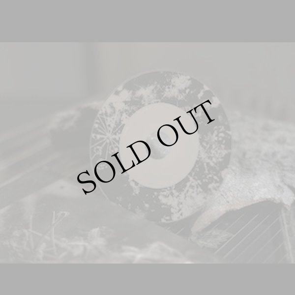 画像4: Minazuki - 水鳴月 "From Dust to Stars - 塵から星へ" [Photobook + CD]