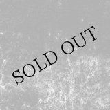 画像: Ross Bolleter "The Synchronicity Project (2022-2023)" [3CD]