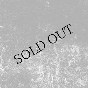 画像: Ross Bolleter "The Synchronicity Project (2022-2023)" [3CD]