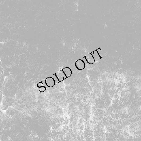 画像1: Ross Bolleter "The Synchronicity Project (2022-2023)" [3CD]