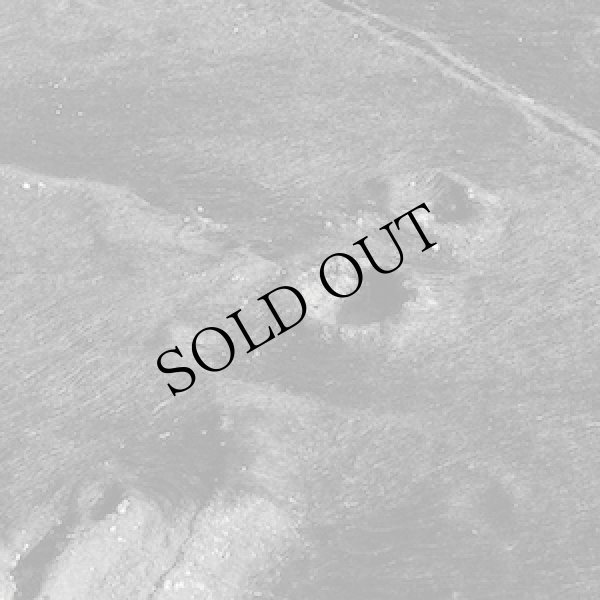 画像1: Ross Bolleter & Eduardo Cossio "Such & Such" [CD]