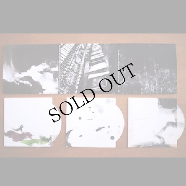 画像2: Ross Bolleter "The Synchronicity Project (2022-2023)" [3CD]