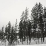 画像: Lowered "Arche (For Singing Bowls)" [CD]