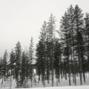 画像: Lowered "Arche (For Singing Bowls)" [CD]