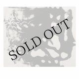 画像: Margarida Garcia, Manuel Mota "The Figure in the Carpet" [CD]