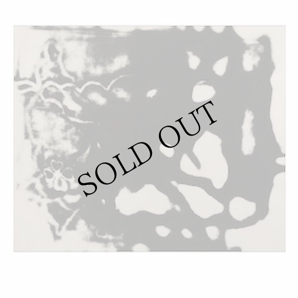 画像1: Margarida Garcia, Manuel Mota "The Figure in the Carpet" [CD]