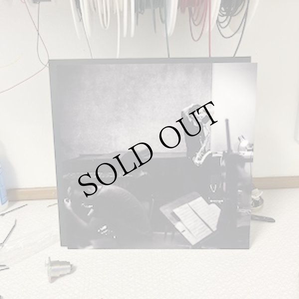 画像2: Anna Hogberg Attack "Ensamseglaren" [LP]