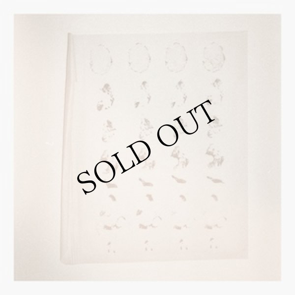 画像1: Nev Lilit "Hyperit" [LP]