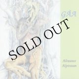 画像: Gaa "Alraunes Alptraum" [CD]
