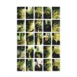 画像1: Richard Youngs and Simon Wickham-Smith "5 Years" [CD]