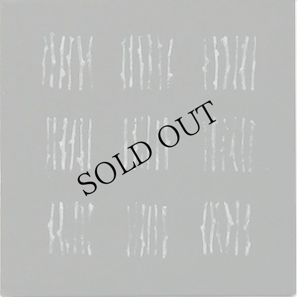 画像1: Alvin Lucier "Still and Moving Lines" [CD]