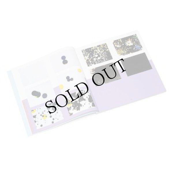 画像4: Bernd Herzogenrath - Featuring: Francisco Lopez, Eisuke Yanagisawa, David Rothenberg, Lawrence English, Reinhold Friedl,Thomas Köner, Sergio Armaroli,  "(c)ovid's metamorphoses" [7CD + 2DVD Boxset + 200 pages Book]