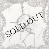 画像: Smegma "Infringements" [Special Edition LP]