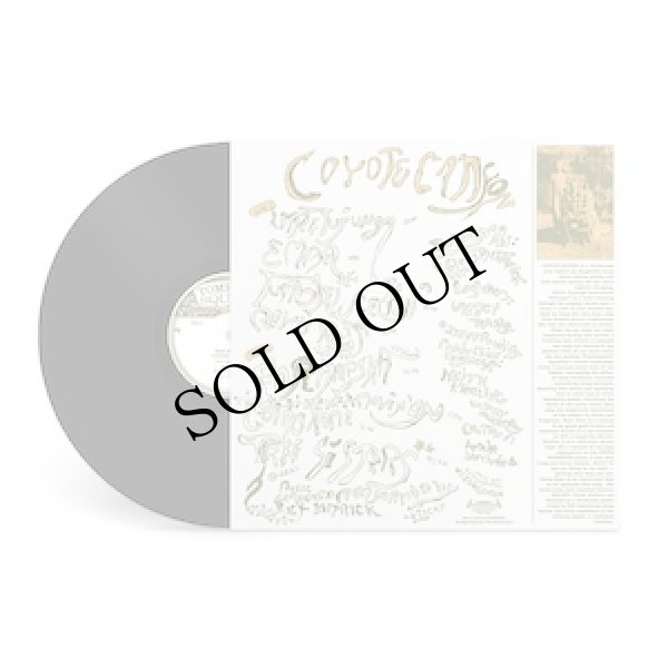 画像2: Rick Deitrick "Coyote Canyon" [LP]