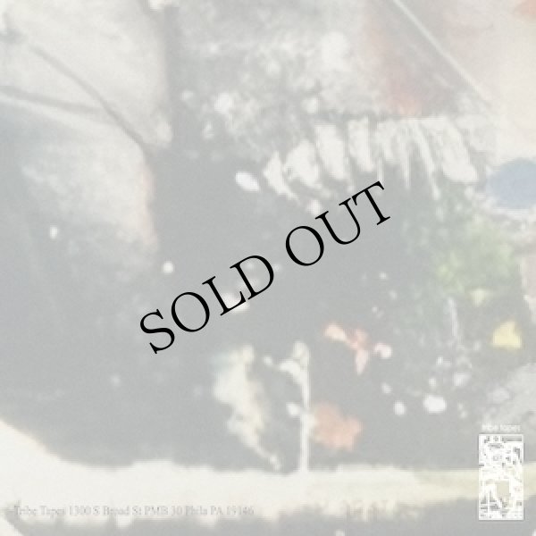 画像2: Randy Greif "It's In A Box" [CD]