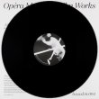 画像2: Opera Mort "Film Works" [LP]