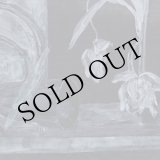 画像: Yvan Etienne "Les Meteores du Coeur" [CD]