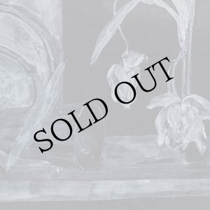 画像: Yvan Etienne "Les Meteores du Coeur" [CD]