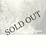 画像: Delphine Dora "A l'abri du monde" [CD-R]