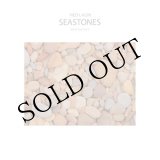 画像: Ned Lagin "Seastones" [LP]