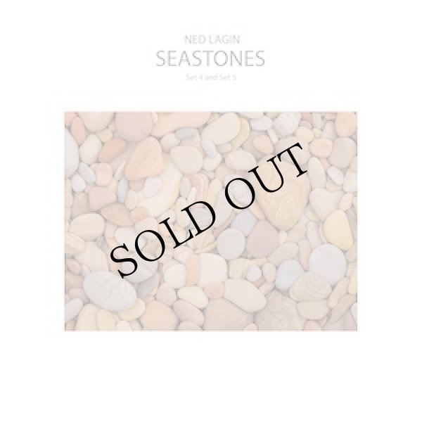 画像1: Ned Lagin "Seastones" [LP]
