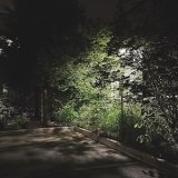 画像: Nathan Amundson "Things Fall Apart" [CD]