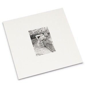 画像: Patrick Lysaght "For the Birds" [LP]