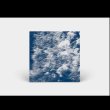 画像2: Gabriella Smart "Parasymbiosis" [CD]
