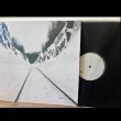 画像2: Microtub "Thin Peaks" [LP]
