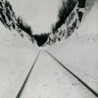 画像1: Microtub "Thin Peaks" [LP]