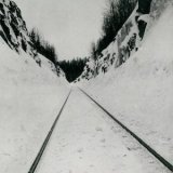 画像: Microtub "Thin Peaks" [LP]