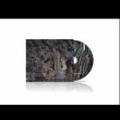 画像2: Mirt • Ter "Mangrove Forest Tides" [CD]