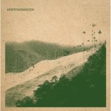 画像: Kroppskannedom [LP]