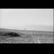 画像2: drone "feral" [CD]