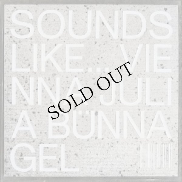 画像1: Julia Bunnagel "Sound Like ... Vienna" [LP]