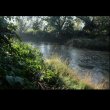 画像4: Magdalena Manderlova "Kozmicke louky" [LP]