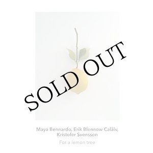 画像: Kristofer Svensson, Maya Bennardo, Erik Blennow Calalv "For a Lemon Tree" [CD]