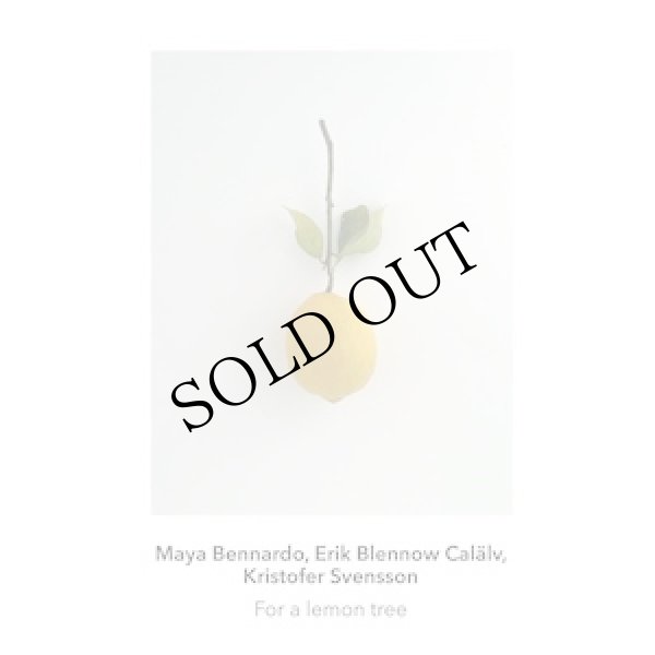 画像1: Kristofer Svensson, Maya Bennardo, Erik Blennow Calalv "For a Lemon Tree" [CD]